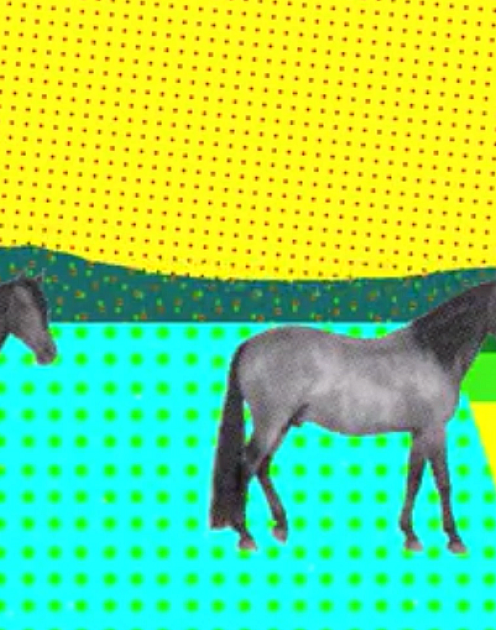 Чем бизнес-модель отличается от стратегии