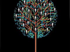 Соединяй и развивай: модель инноваций Procter & Gamble