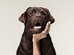 Что делать, если сотрудник потерял интерес к работе