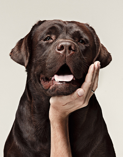 Что делать, если сотрудник потерял интерес к работе