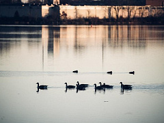 Идеи для тех, кто изменяет мир