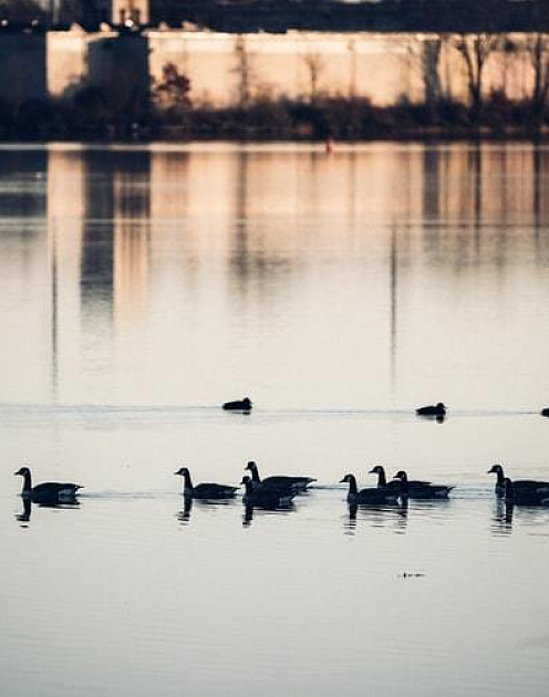 Идеи для тех, кто изменяет мир