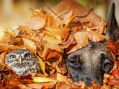 Будьте эгоистами. Любите себя сильнее.