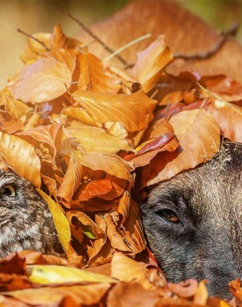 Будьте эгоистами. Любите себя сильнее.