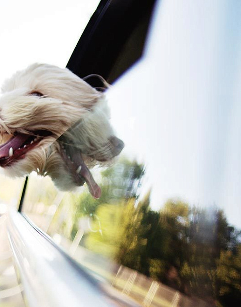 Жизненные заблуждения