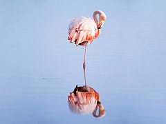 Не уходите в никуда: что делать, если вы задумываетесь об увольнении