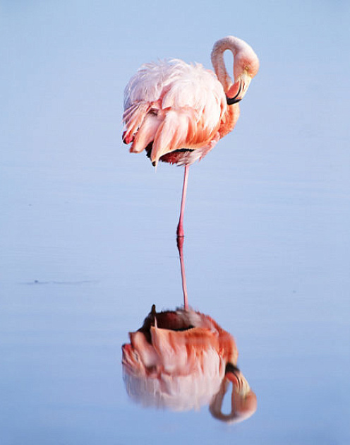 Не уходите в никуда: что делать, если вы задумываетесь об увольнении
