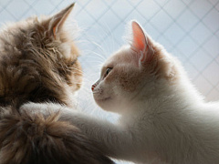 Чтобы создать хороший продукт, нужна эмпатия