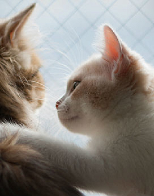 Чтобы создать хороший продукт, нужна эмпатия