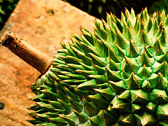 4 способа сгладить последствия первого неудачного впечатления