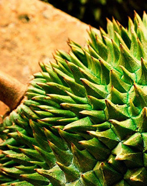 4 способа сгладить последствия первого неудачного впечатления