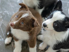 А вы достаточно внимания уделяете своему отделу продаж?