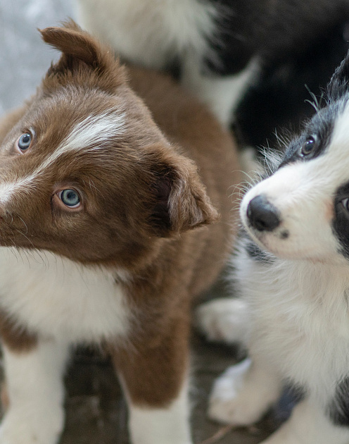 А вы достаточно внимания уделяете своему отделу продаж?