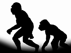 Чем общительнее, тем умнее