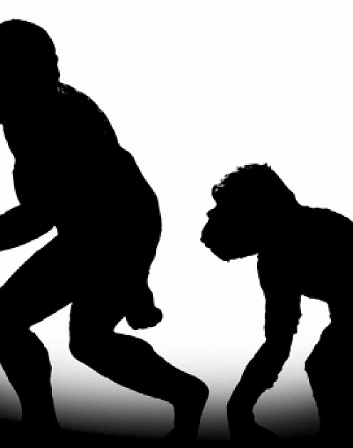 Чем общительнее, тем умнее