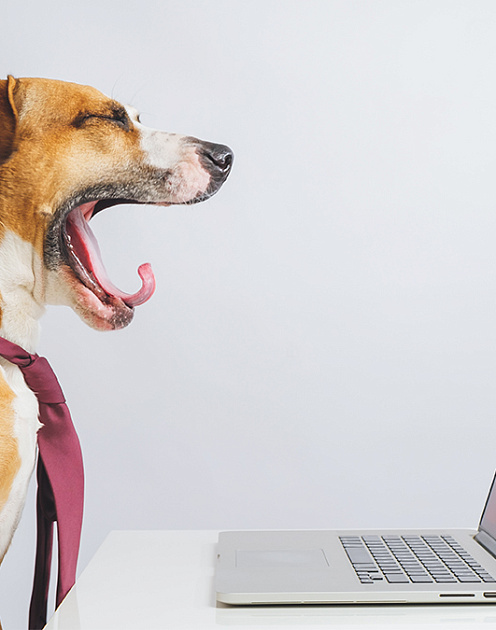 «Ничего не хочется»: как сохранить мотивацию у сотрудников на удаленке