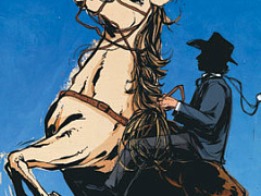 Консультанты руководителей — ковбои Дикого Запада