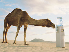 Как выбрать неправильного покупателя и потерять всё