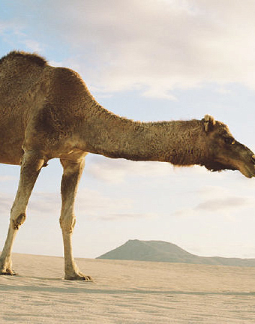 Как выбрать неправильного покупателя и потерять всё