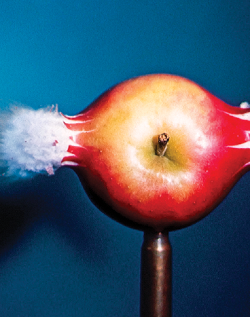 Как создать культуру экспериментирования