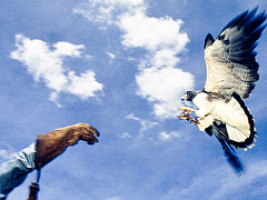 Выдающиеся лидеры не боятся менять свои убеждения