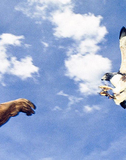 Выдающиеся лидеры не боятся менять свои убеждения