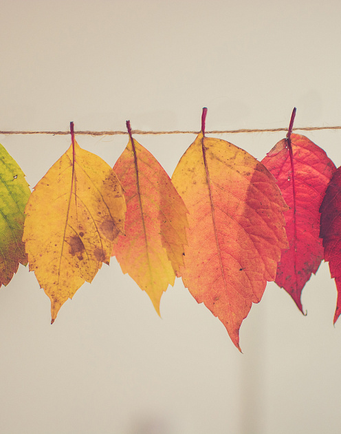 «Здесь так заведено»