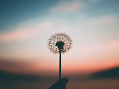 Сберечь и защитить: что делать предпринимателю в кризис