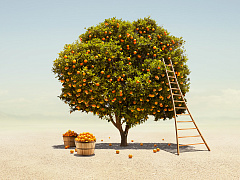 Почему обратная связь не помогает вашим сотрудникам