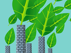 Все оттенки зеленого: как компании лгут о своей экологической ответственности