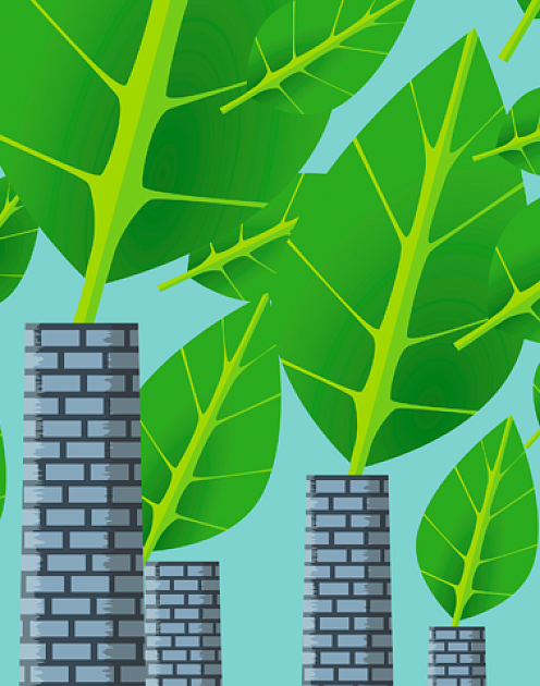 Все оттенки зеленого: как компании лгут о своей экологической ответственности