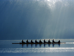 Распространенные стили лидерства: каким и когда пользоваться?