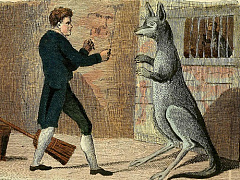 Корпоративные анекдоты. Часть Первая