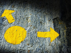 Почему платные отзывы невыгодны