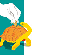 Миф о пассивном инвесторе