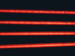 Четыре свойства харизматичных лидеров