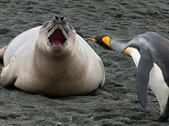 Что делать, если ваши коллеги слишком много говорят