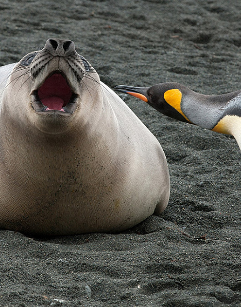 Что делать, если ваши коллеги слишком много говорят