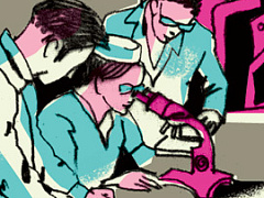 Лаборатория  идентичности