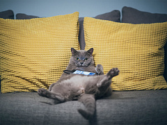 Как на самом деле нужно отдыхать от работы