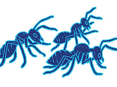 Высокий статус, высокое напряжение