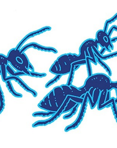 Высокий статус, высокое напряжение