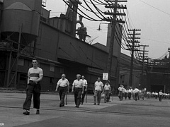 Почему сотрудники всем недовольны