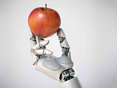 Алгоритм в кресле директора