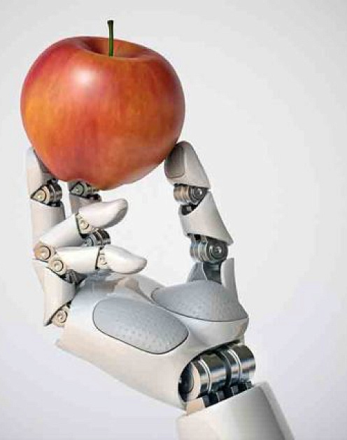 Алгоритм в кресле директора