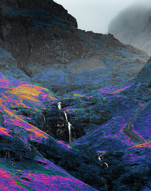 Как оценить углеродный риск вашей компании