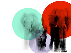 Лекарство от эйджизма