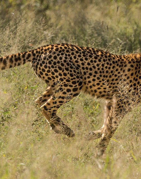 Ускоряйтесь!