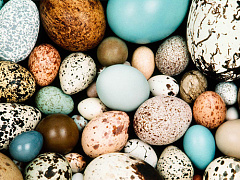 Учимся проводить собрания: от Стокгольма до Нью-Дели