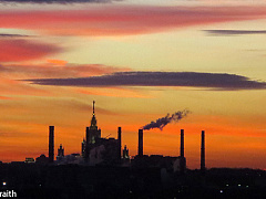 «Люди могут говорить совершенные глупости и никакой ответственности за это не нести»